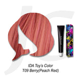 IDA Toy's Color J113TC