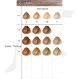 IDA Basic Color Jam Color Series 85ml Jam-C Hae Coco J11 IJC BJC**